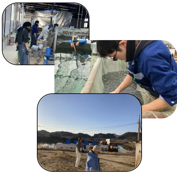 ご挨拶