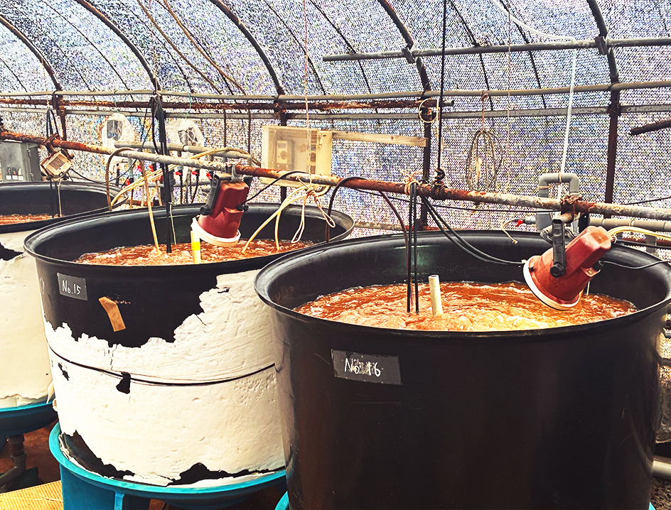 ブラインシュリンプ用培養水槽